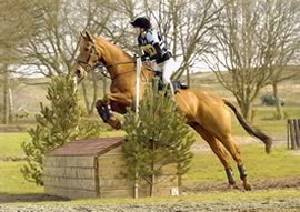 Horse Jumping