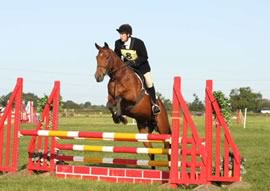 Horse Jumping