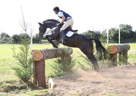 Horse Jumping