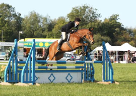 Horse Jumping